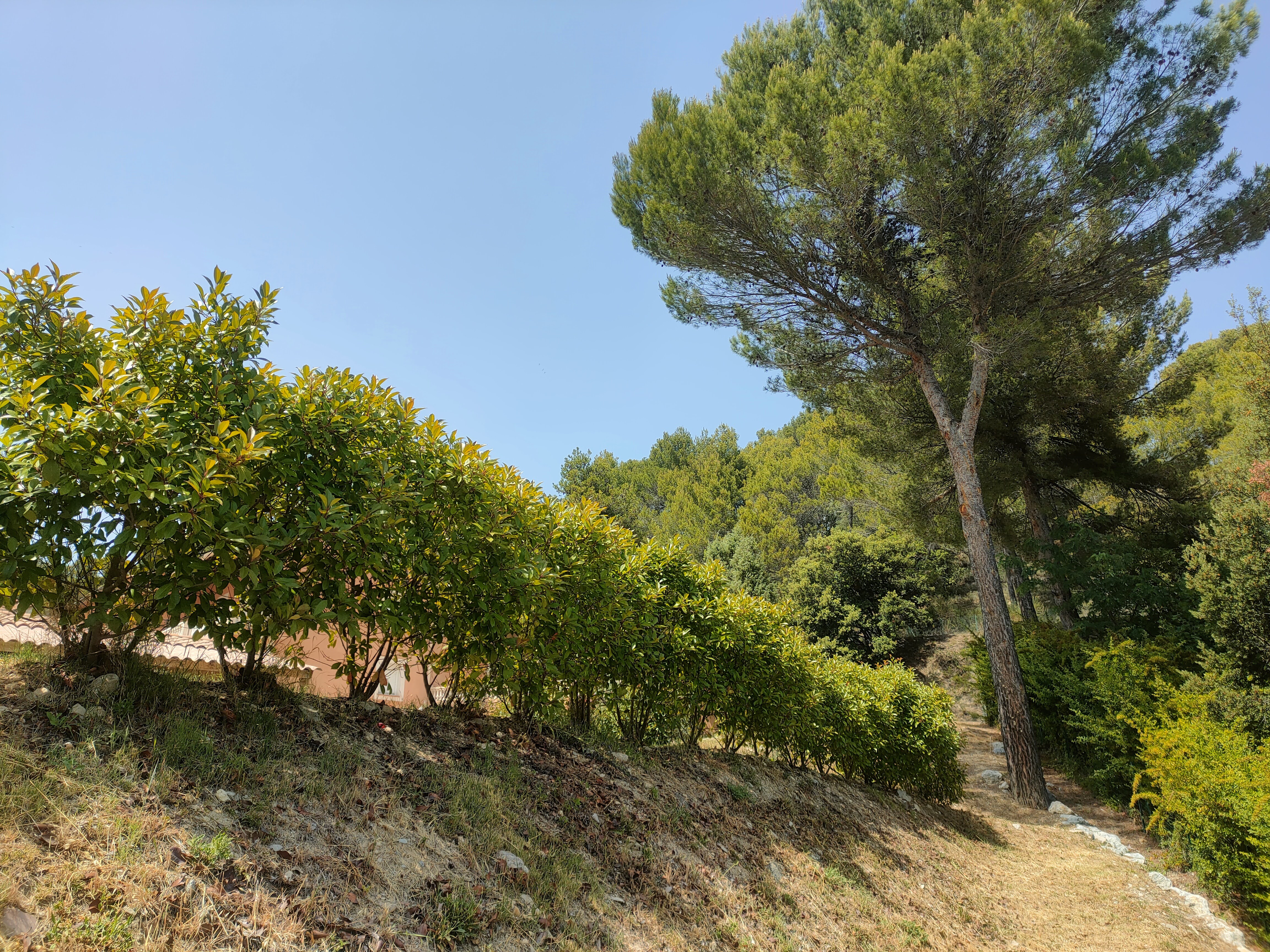 Terrain constructible - Pierrevert - Réf. 531 - Photo 3