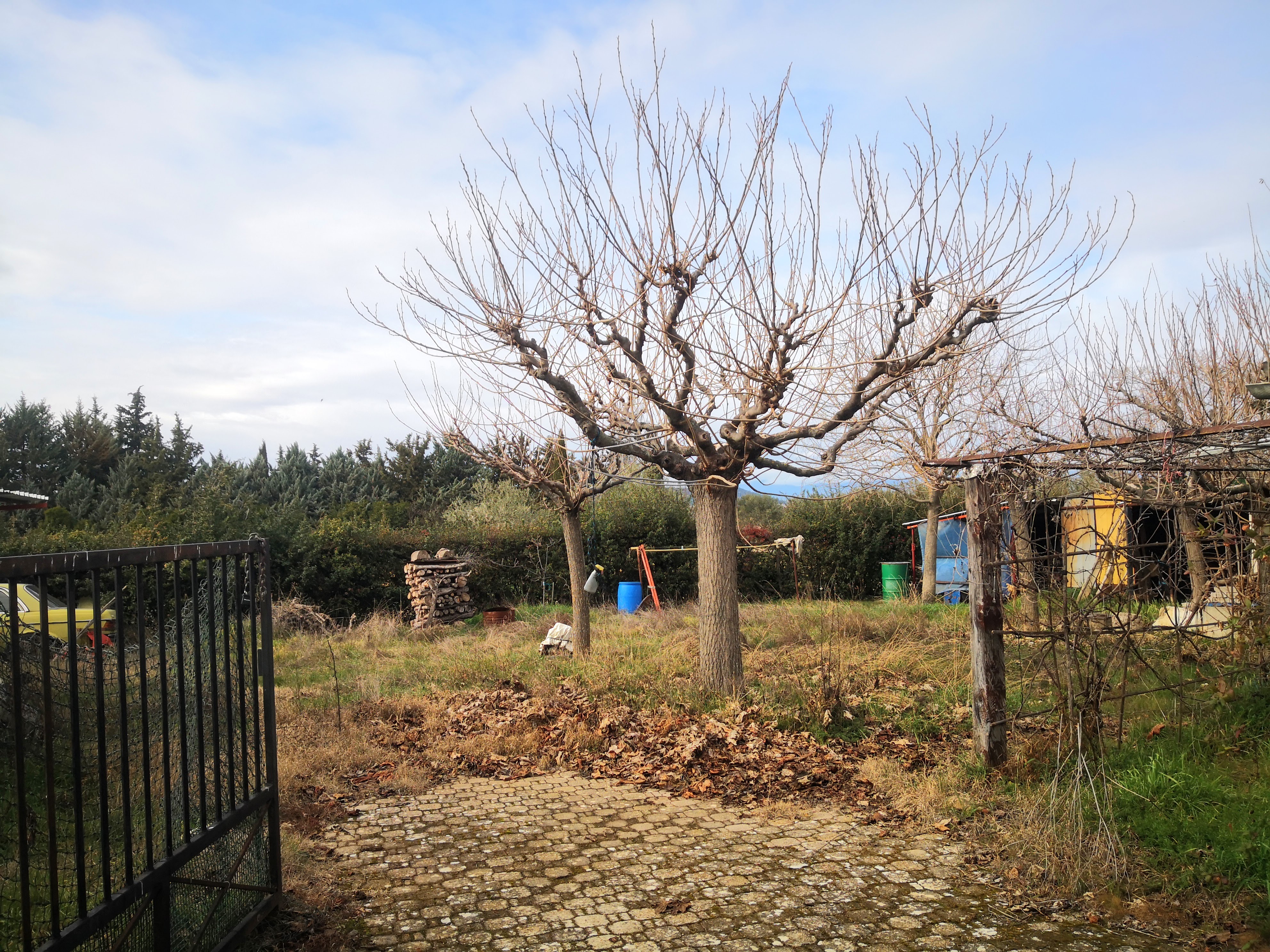 Maison de hameau avec garage - Valensole - Réf. 231 - Photo 3