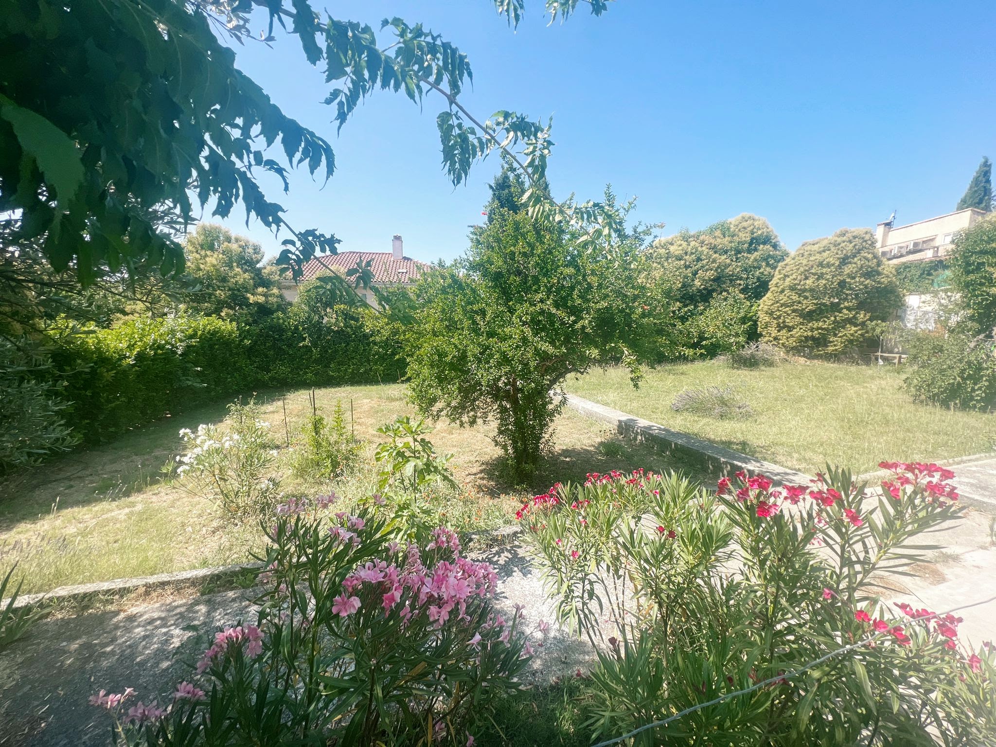 Villa T3 avec beau jardin - Sainte Tulle - Réf. 255 - Photo 10