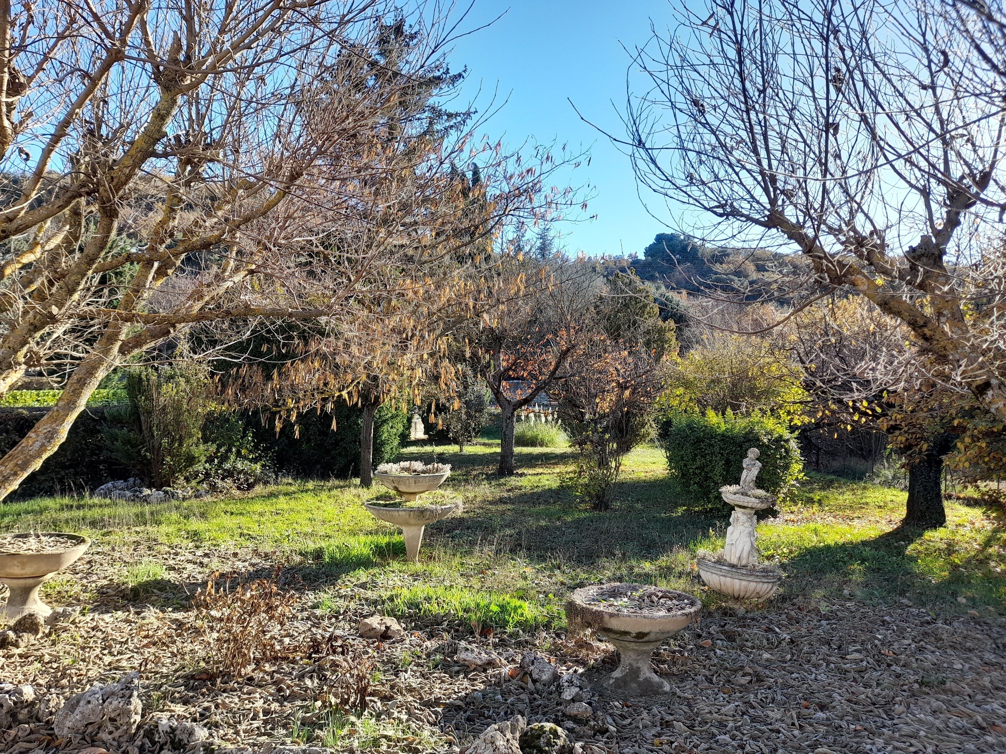 Terrain 664m² - Riez - Réf. 291 A - Photo 3