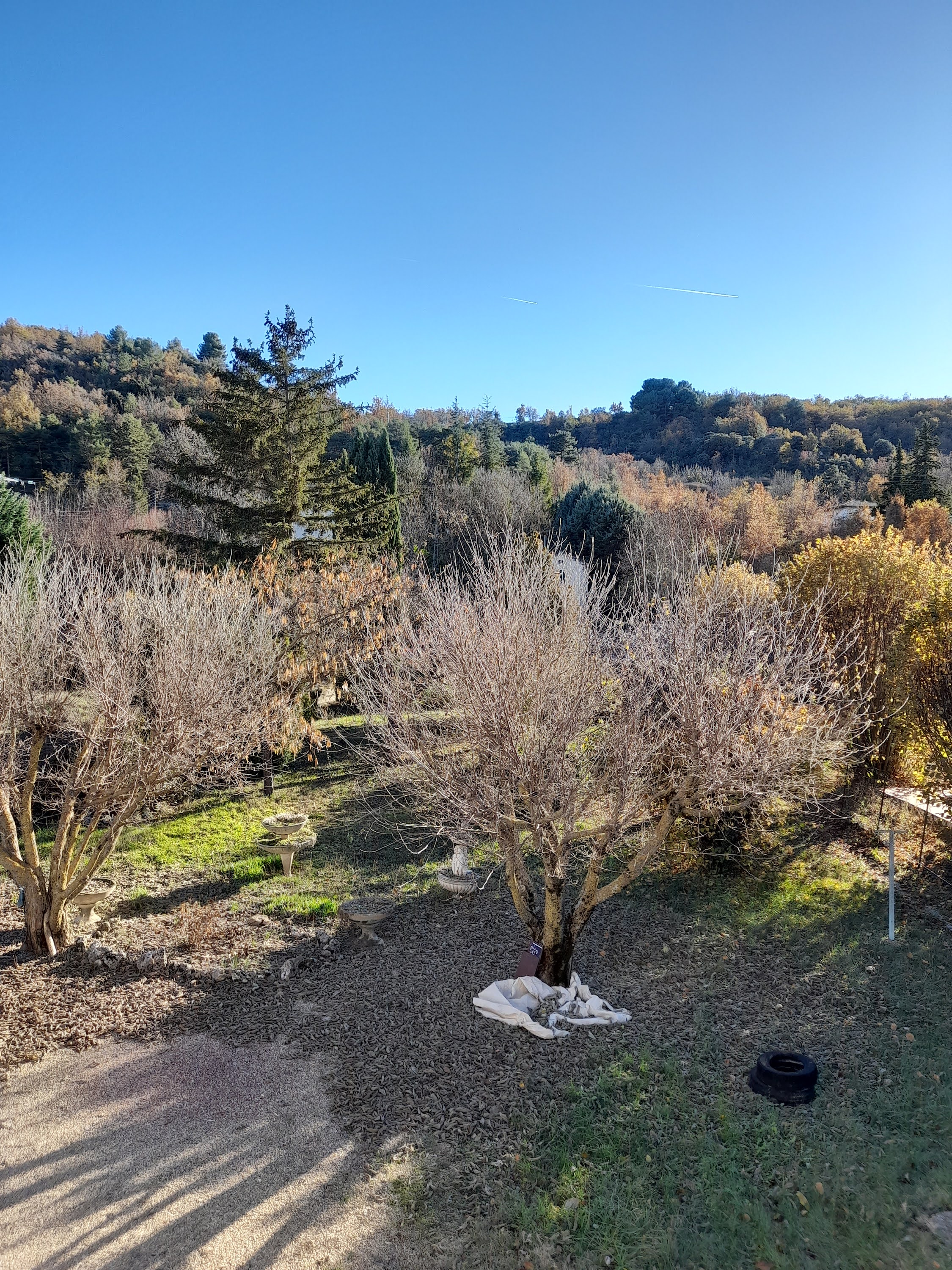Terrain 664m²