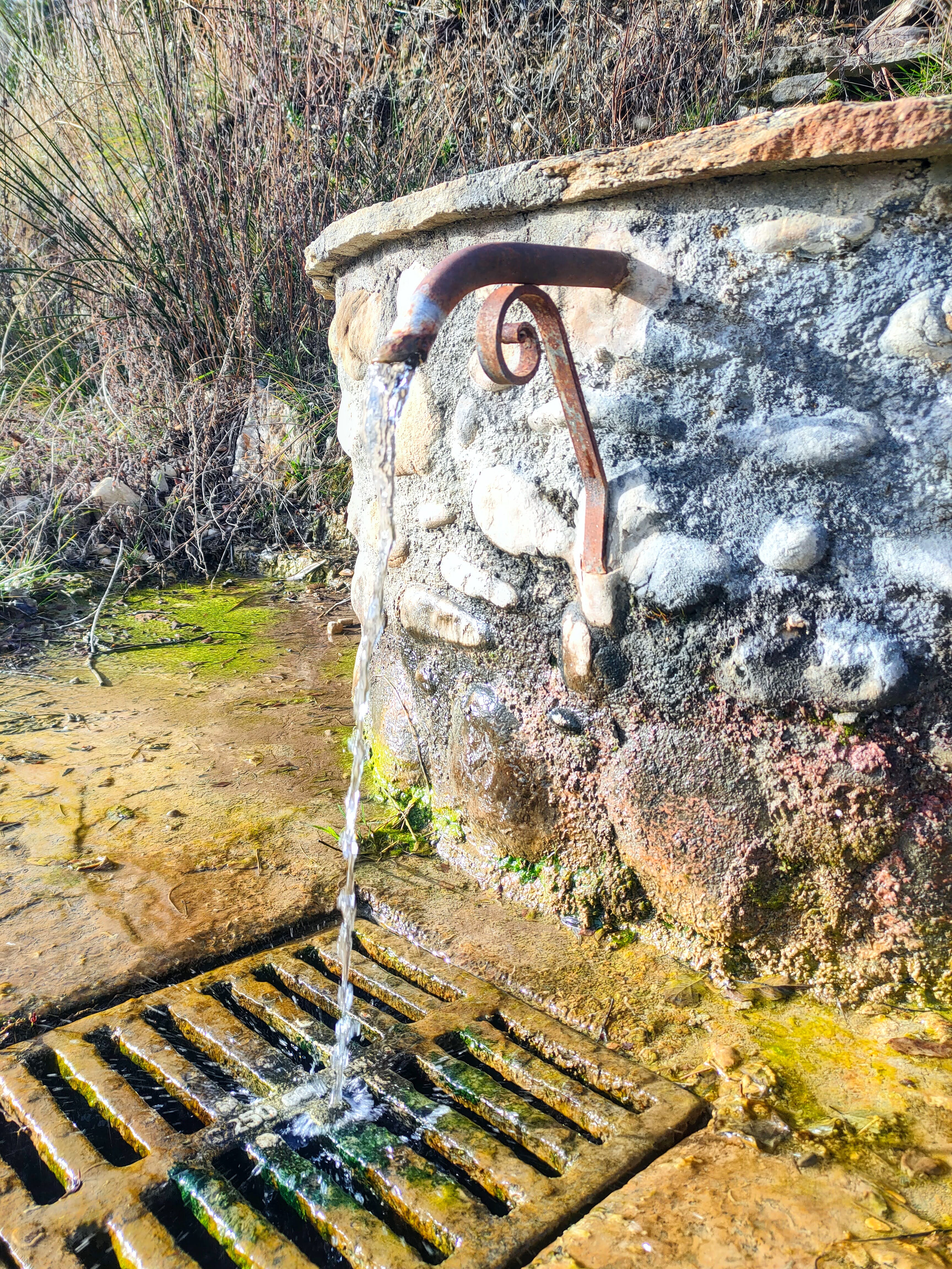 Propriété provençale avec piscine - Riez - Réf. 290 - Photo 6