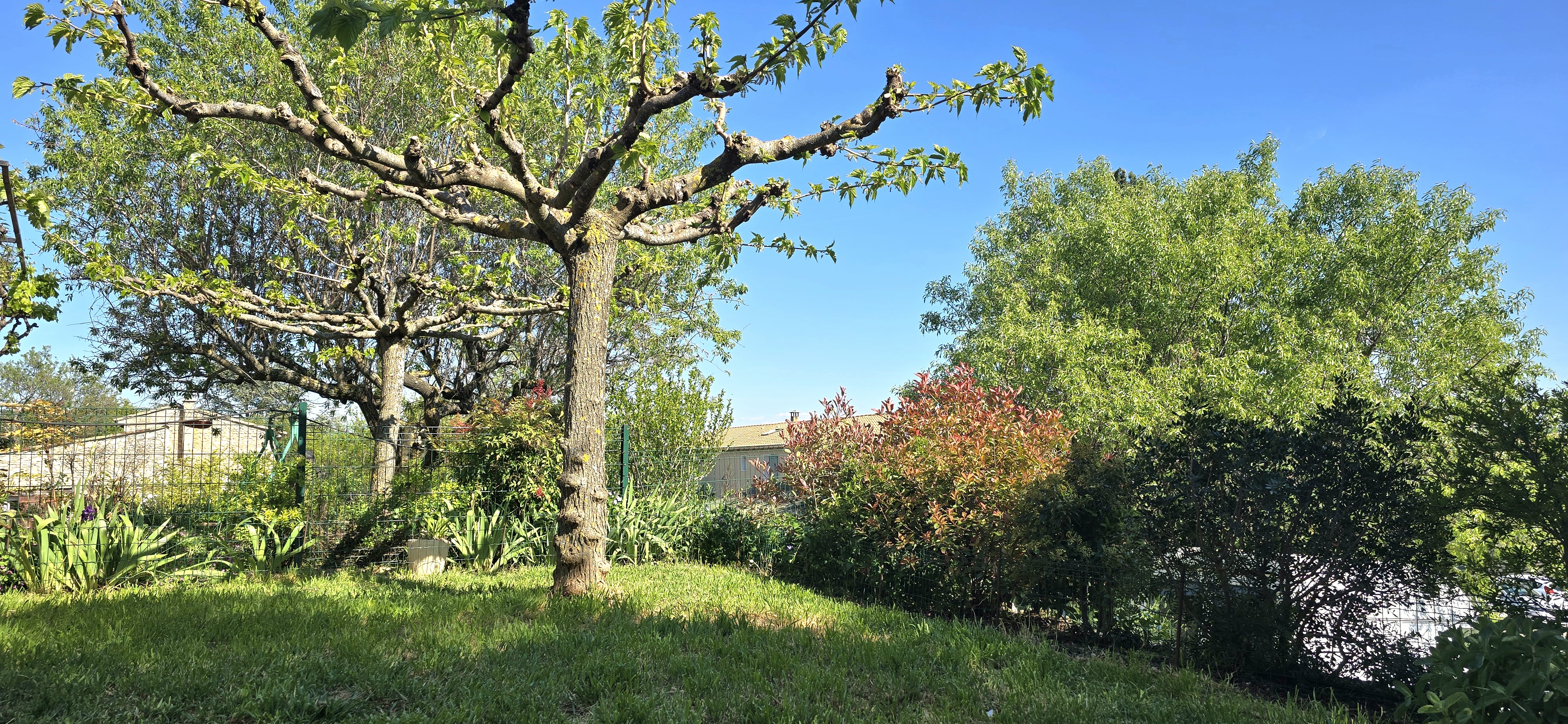 Maison T5 - Reillanne - Réf. 510-L - Photo 2